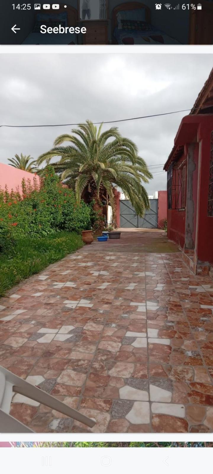 Bed and Breakfast Palmtree Provincia di Provincia di El Jadida Esterno foto
